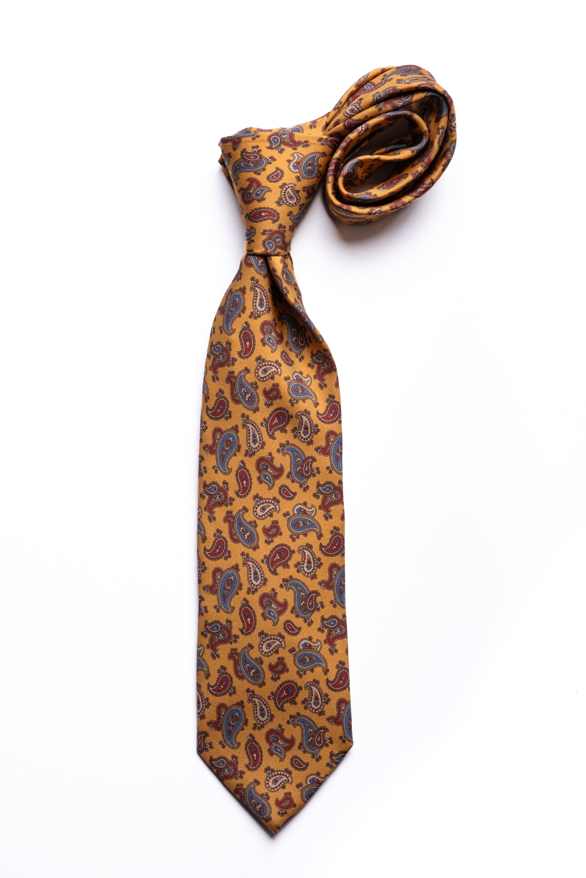 Corbata de seda impresa Paisley 2 / ASCOT x CASA SARTORIAL